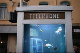 Cabine telefoniche trasformate in acquario