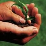 Giovani e agricoltura, le aziende italiane sono tra le piu' green