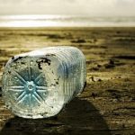 In Veneto per ogni bottiglia di plastica riciclata uno sconto sulla spesa