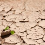Temperatura globale a piu’ 5 gradi, in meno di 100 anni