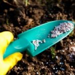 Agricoltura: i concimi fanno male all’ambiente