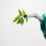 Piu' energia pulita dal bioetanolo grazie al DNA della barbabietola