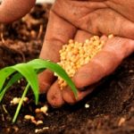 Salone internazionale dell’Alimentazione: l’Enea sara' presente con uno stand