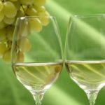 Vinitaly: ecco il falso Verdicchio, un vino non vino
