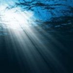 Ambiente: ecosistema marino a rischio con i cambiamenti climatici